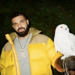 artist image Drake Jaded Scorpion