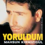 album image sevdim___حب Yoruldum