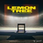 album image Lemon Tree Lemon Tree - Single