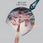 album image CHAAMA x ELJOEE - WALLAH ( Cameleon cover) Wallah - Single