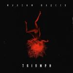poster Лети за мной Triumph