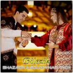 poster Bilezik Bilezik