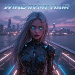 poster Wind in my Hair Wind in my Hair